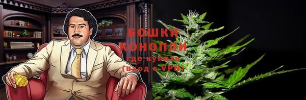 индика Козельск