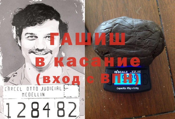 индика Козельск