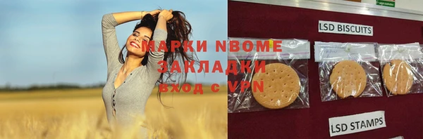 индика Козельск