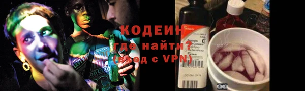 индика Козельск
