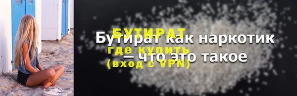 индика Козельск