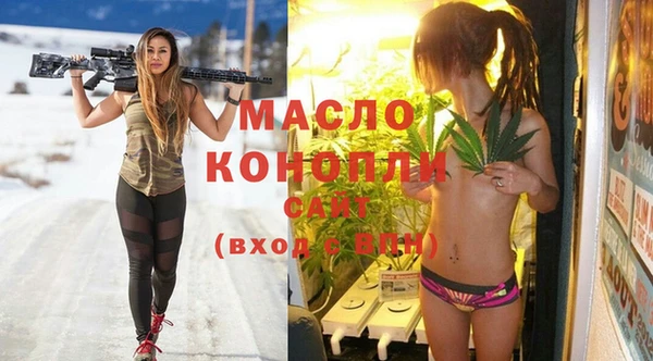индика Козельск