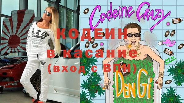 индика Козельск