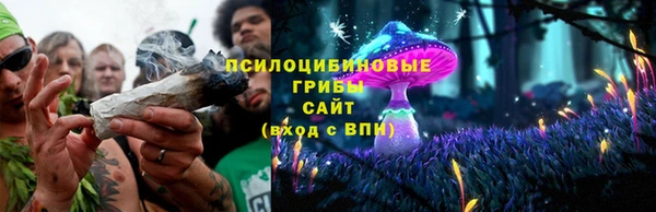 индика Козельск