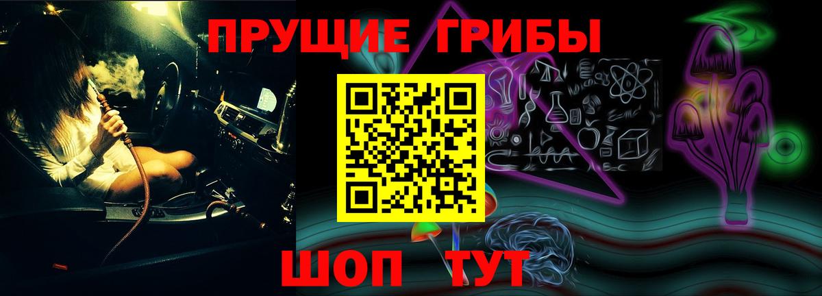 Псилоцибиновые грибы GOLDEN TEACHER Кувандык